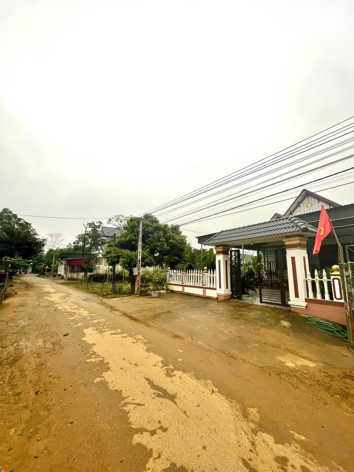 Đất nền Thị Trấn Sao Vàng, Thọ Xuân 100m² giá 400 triệu - Đầu tư sinh lời ngay!