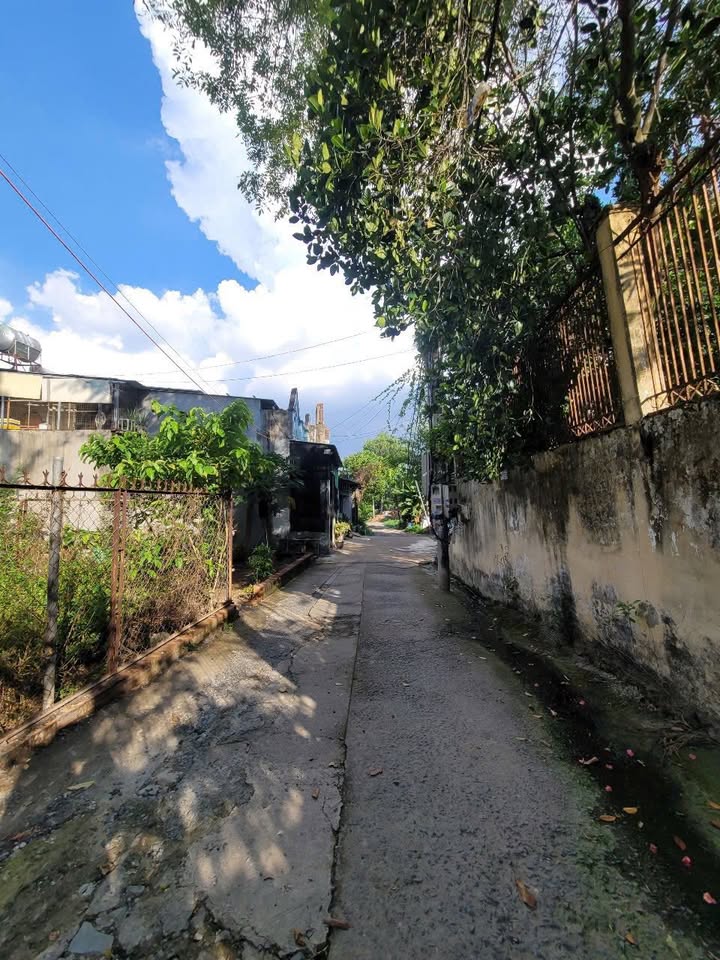 Đất thổ cư 230,5m² gần đường Trương Văn Vĩnh, Dĩ An, chỉ 2,99 tỷ - Cơ hội đầu tư tuyệt vời!