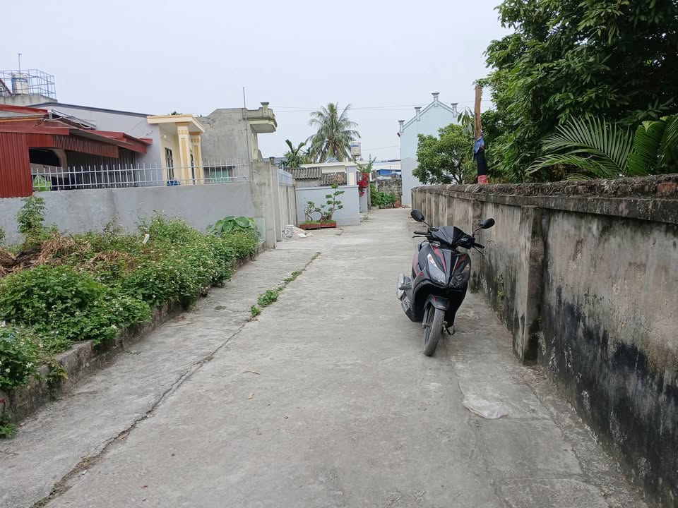 Đất nền Tân Trào, Kiến Thụy 80m² giá chỉ 900 triệu - Cơ hội đầu tư tuyệt vời!