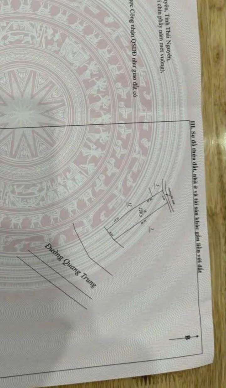 Bán đất Quang Trung Thái Nguyên 200m² giá 15 tỷ - Vị trí kinh doanh đỉnh cao!