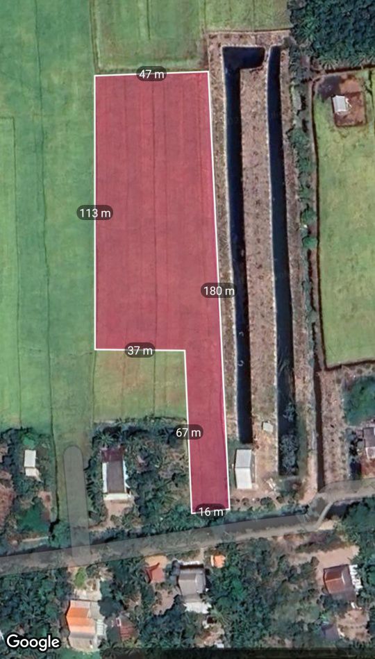 Đất Ruộng 6,5 Công Tại Ấp Long Phước, Cai Lậy - Giá Chỉ 621 Triệu VND