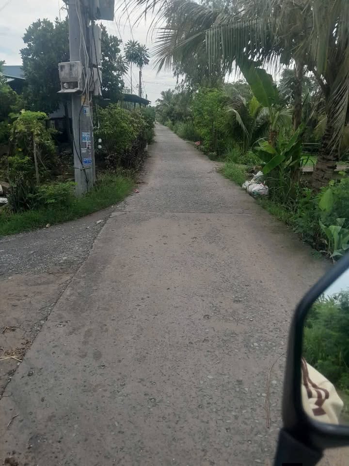 Đất nền Ấp Hòa Bình Gò Công Đông 194m² giá 560 triệu - Sổ hồng chính chủ