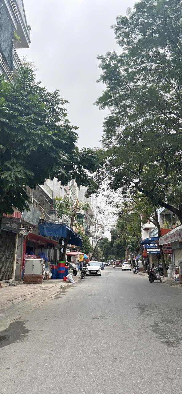 Đất nền Trần Nhật Duật, Bồ Xuyên, 44m² - Vị trí kinh doanh sầm uất!