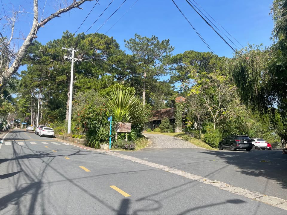 Đất thổ cư 1100m² mặt tiền Trần Bình Trọng, Đà Lạt - Giá đầu tư chỉ 85 tỷ!