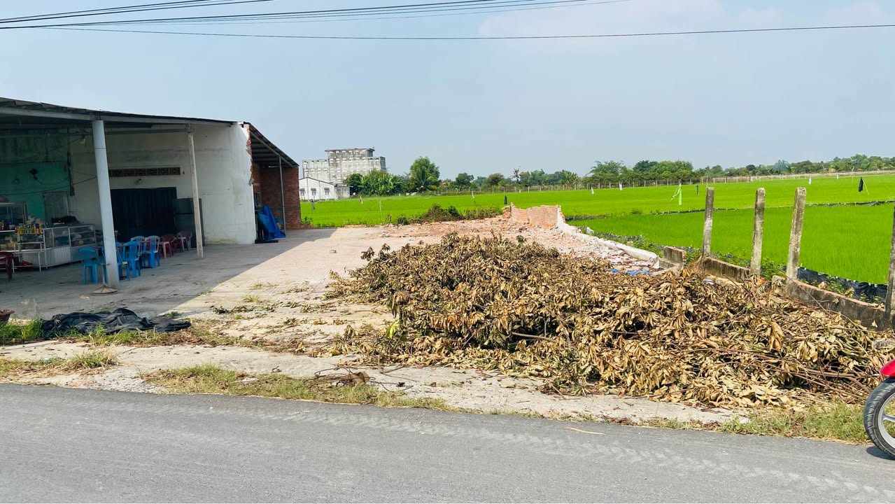 Đất nền kinh doanh mặt tiền Sò Đo, Hậu Nghĩa 3190m² giá 2.2 tỷ - Đầu tư sinh lời cao!