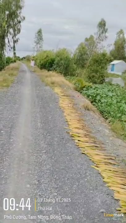 Đất nền Thạnh Lợi, Tháp Mười 12.800m² giá 4.358 tỷ - Cơ hội đầu tư tuyệt vời!