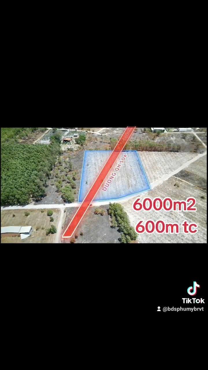 Đất nền 6000m² tại phường Mỹ Xuân - Thích hợp phân lô, giá thương lượng!