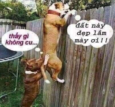 Đất thổ cư mặt tiền đường BV Đức Huệ, 2520m² giá 1.5 tỷ - Cơ hội đầu tư sinh lời!