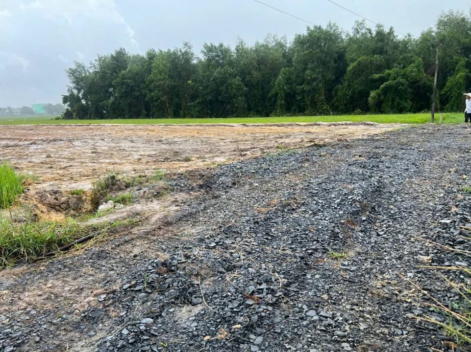 Đất vườn Thái Mỹ Củ Chi 1235m² giá 2.2 tỷ - Đầu tư nghỉ dưỡng lý tưởng!