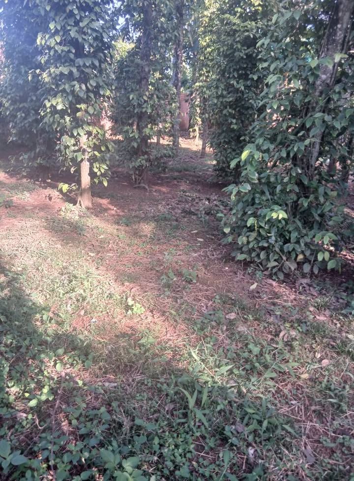 Đất thổ cư 144m² tại phường Ea Kao, Buôn Ma Thuột - Cơ hội đầu tư hấp dẫn!