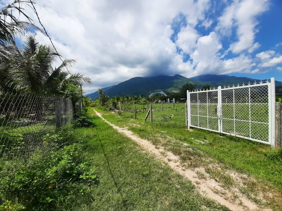 Đất vườn Ninh Hưng, Khánh Hòa 4000m² - Tiềm năng làm vườn tuyệt vời!