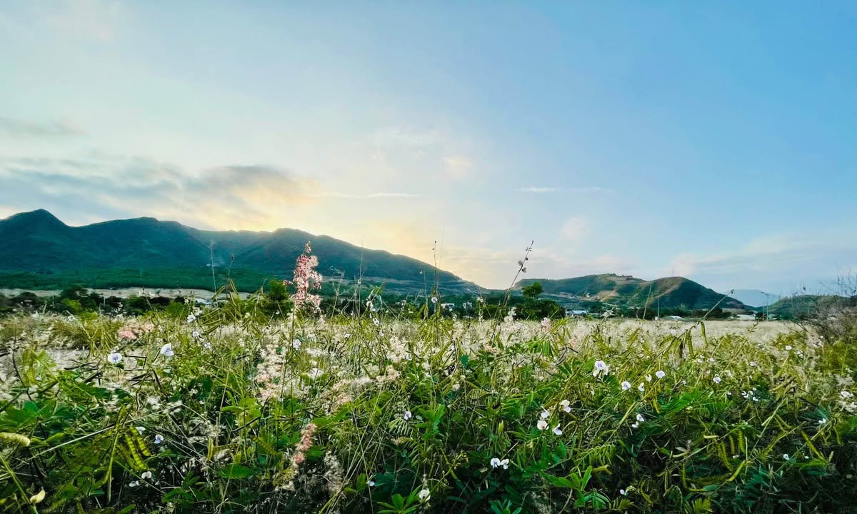 Đất biệt thự khu đô thị ven sông Tắc Nha Trang 300m² giá 7.14 tỷ - Vị trí đắc địa gần công viên!