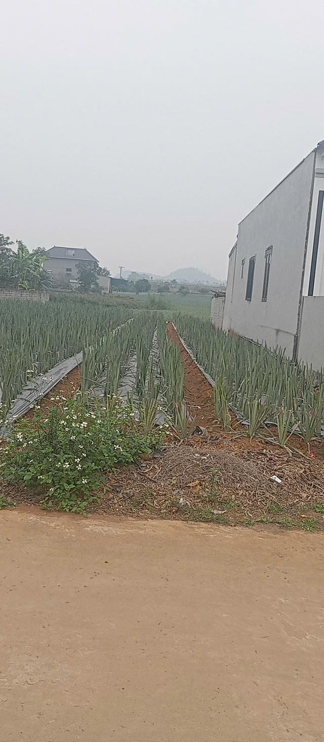 Đất nền Quang Sơn, Tam Điệp 180m² - Giá thỏa thuận hấp dẫn!