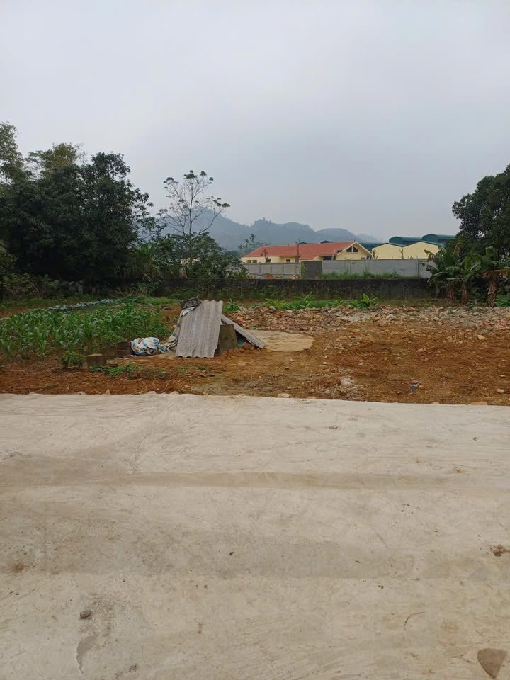 Đất nền phường Yên Sơn, Tam Điệp 900m² giá 2 tỷ - Tiện ích đầy đủ, cơ hội đầu tư hấp dẫn!