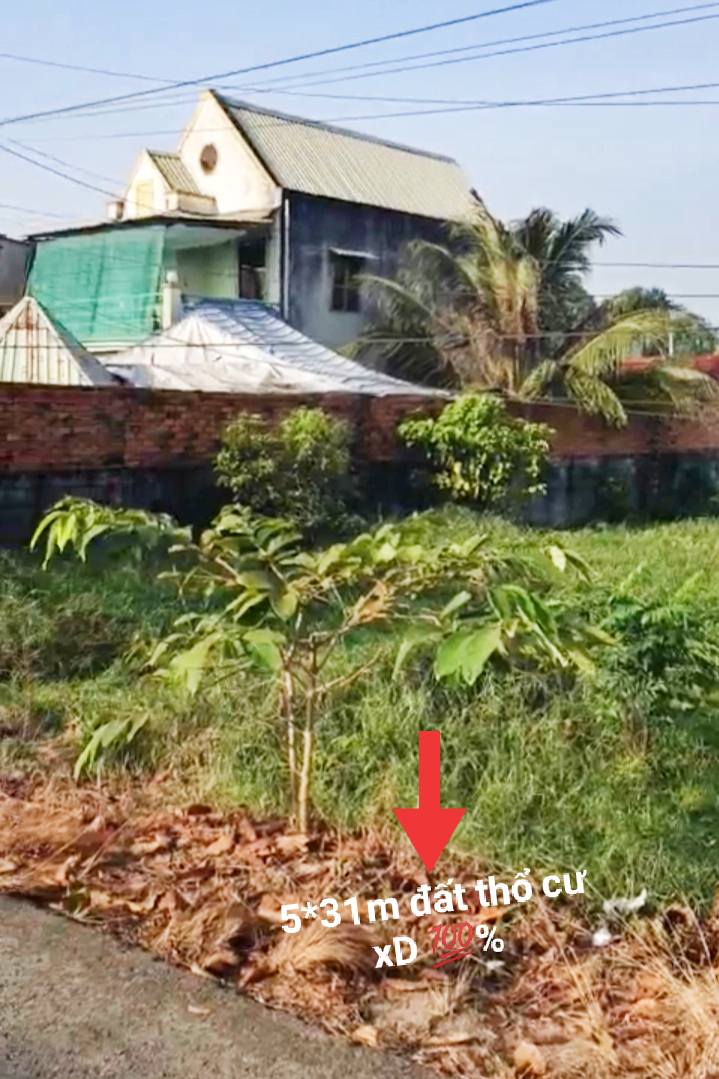 Đất nền Tân Phú Trung Củ Chi 155m² giá 1 tỷ - Đầu tư sinh lời ngay!