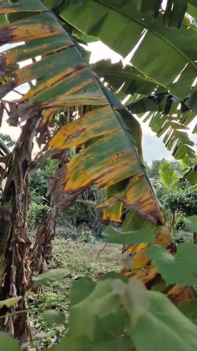 Đất nền mặt tiền đường Lê Hồng Nhi, quận Cái Răng, 152m² - Đầu tư sinh lời ngay!