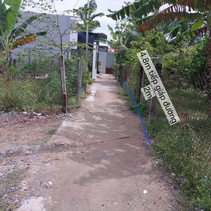 Đất thổ cư Hẻm 31 Đồng Ngọc Sứ, An Thới 90m² giá 1.599 tỷ - Sẵn sàng xây dựng ngay!