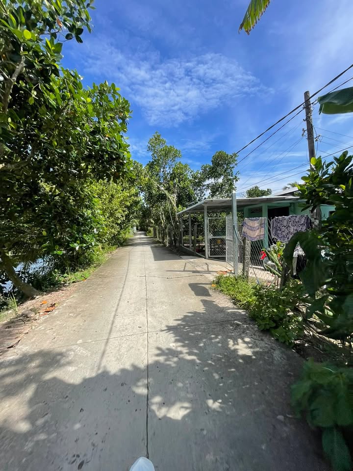 Đất Farm 7900m², 600m² Thổ cư tại Thanh Mỹ, Đồng Tháp - Giá chỉ 2.37 tỷ!