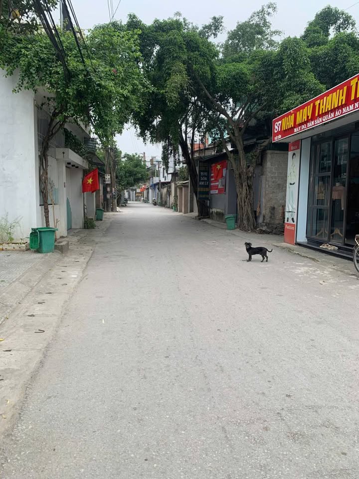 Đất nền trung tâm phường Đông Quang 81m² giá 3 tỷ - Kinh doanh sầm uất!