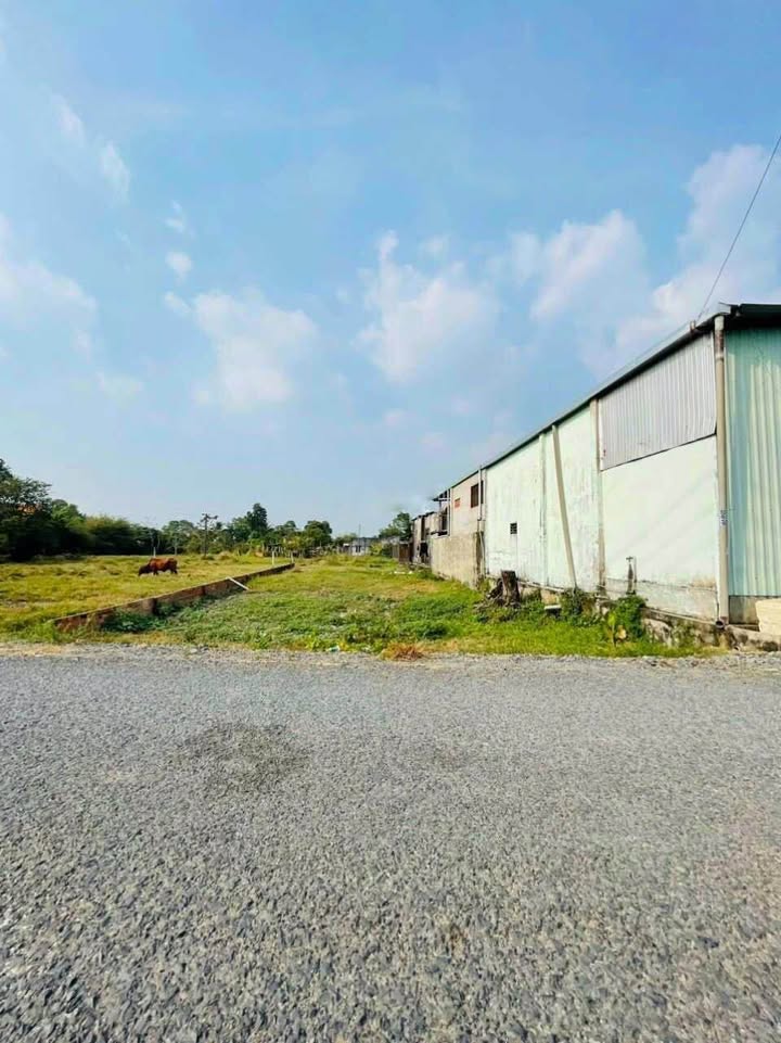 Đất Phước Vĩnh An Củ Chi 102m² giá 1.65 tỷ - Tiềm năng đầu tư lớn!