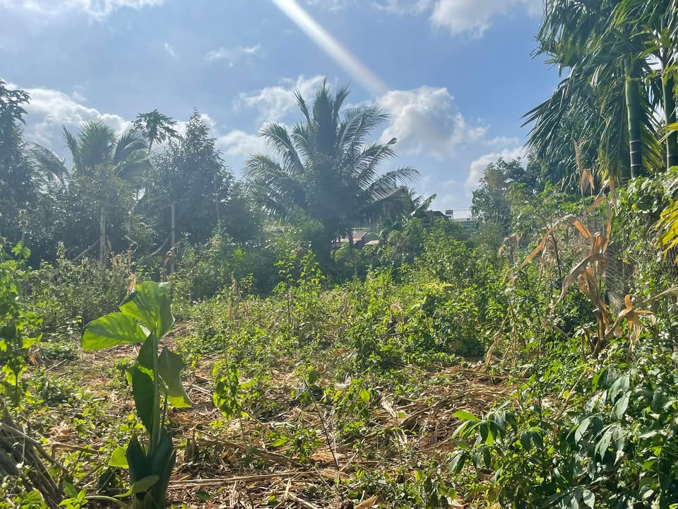 Đất nền Ea Pôk, Cư M'gar 200m² giá 156 triệu - Cơ hội đầu tư sinh lời ngay trung tâm!