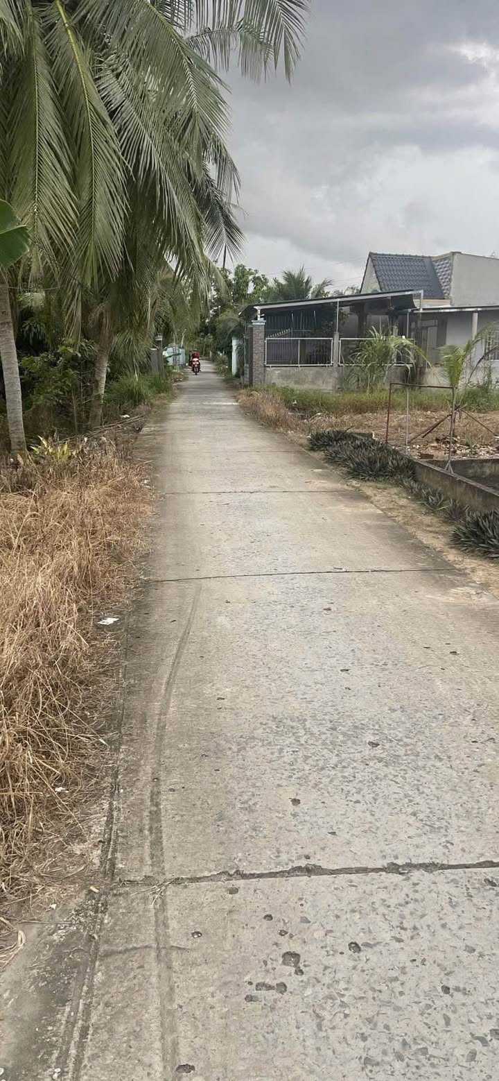 Đất nông nghiệp Phú Quới 6.5 công giá 220 triệu - Đường đi riêng ổn định