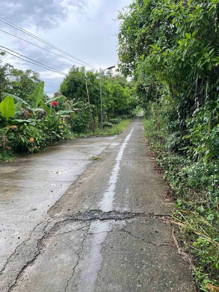 Đất nền liền kề Cái Vồn 65m² giá 550 triệu - Đầu tư sinh lời tiềm năng!