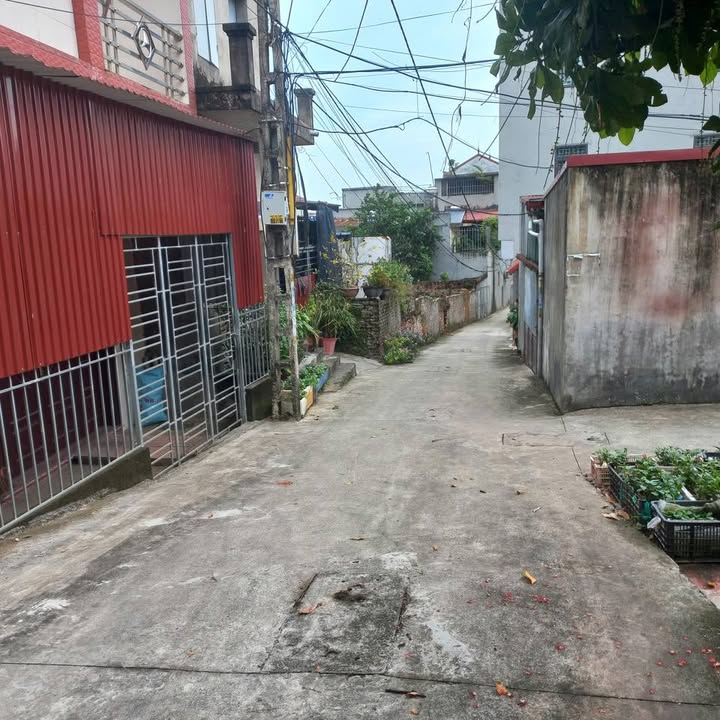 Đất thổ cư Hạp Lĩnh Bắc Ninh 80m² giá 2.1 tỷ - Cơ hội đầu tư tuyệt vời!