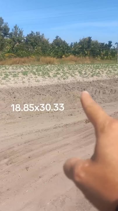 Đất nền phường Bình Minh, Tây Ninh 571m² giá chỉ 200 triệu - Đầu tư sinh lời ngay!