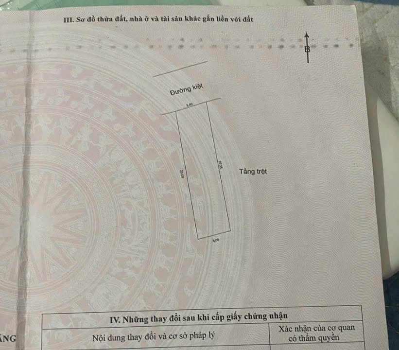 Lô đất 100m² mặt tiền Tô Hiệu, Hoà Minh, Đà Nẵng - Giá chỉ 5 tỷ