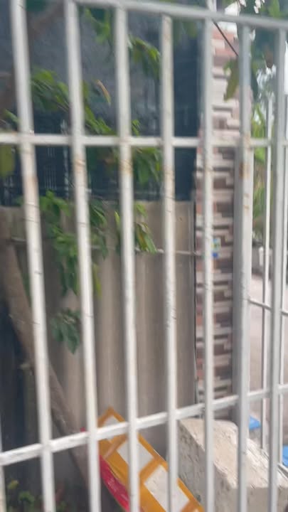 Nhà phố Long Điền, Bà Rịa - Vũng Tàu 227m² giá 1.75 tỷ - Chính chủ bán gấp!