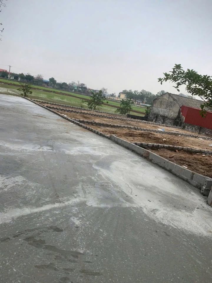 Đất thổ cư Quang Lãng - Phú Xuyên 86.6m² - Mặt tiền nở hậu hút lộc!