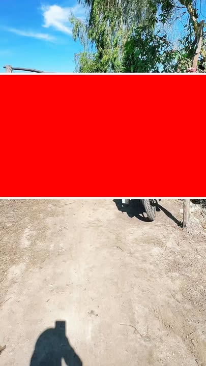 Đất lúa 60 công mặt tiền 200m ấp Phú Xuân, 7.2 tỷ - Cơ hội đầu tư tuyệt vời!