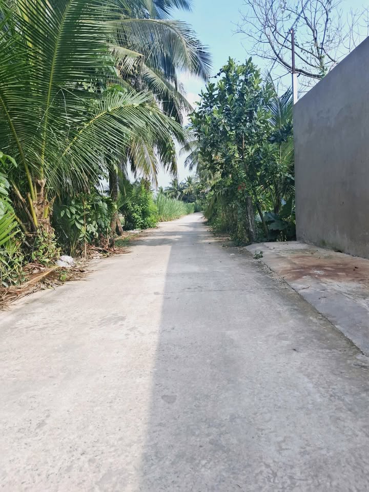 Nhà vườn nghỉ dưỡng mái Nhật 1400m² tại Lương Hòa Lạc, giá 2.75 tỷ - Không gian sống lý tưởng!