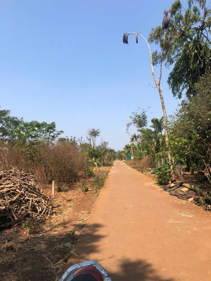 Đất nền Ea Tiêu, Cư Kuin 220m² giá 585 triệu - Mặt tiền đường bê tông thuận lợi!