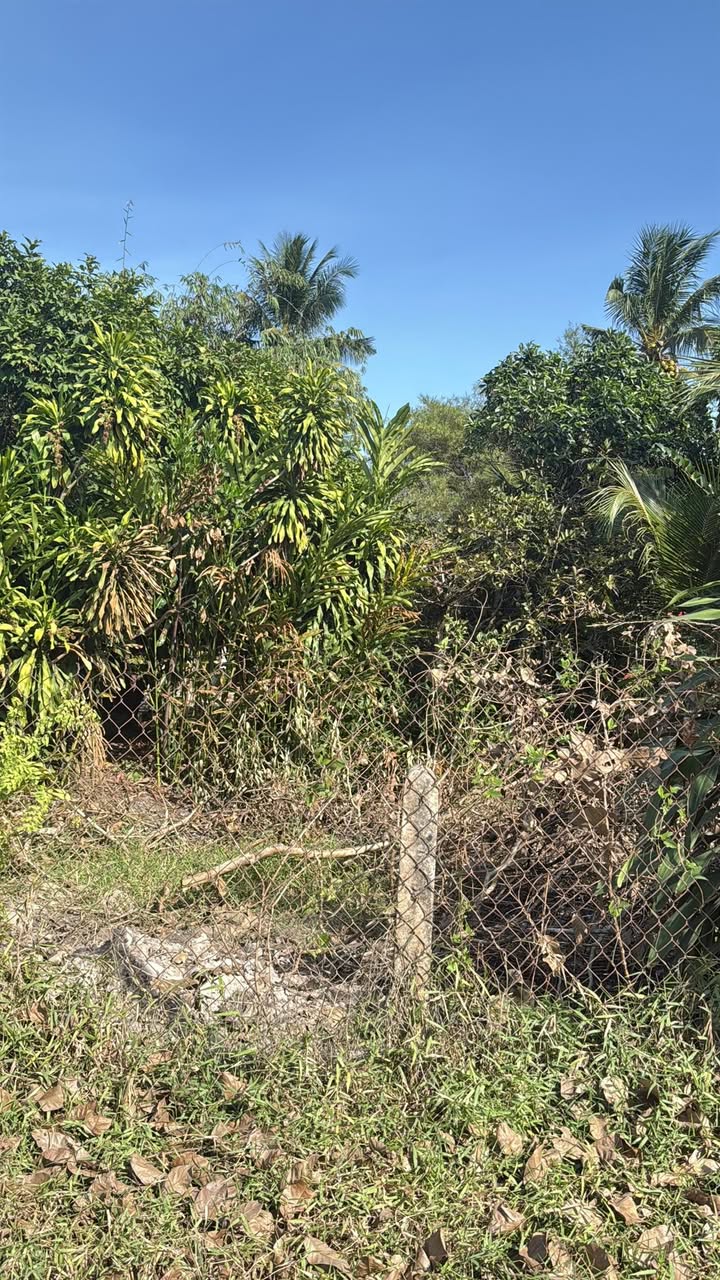 Đất nền Thái Bình, Châu Thành, Tây Ninh 255m² giá 450 triệu - Đường ô tô thông thoáng!