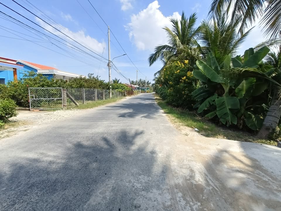 Đất thổ cư 200m² tại An Thạnh Thủy, Đồng Tháp giá 1.4 tỷ - Lợi nhuận đầu tư cao!