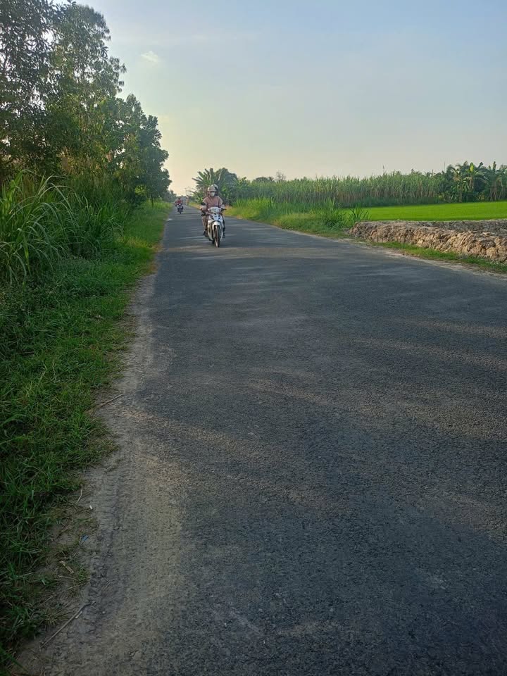 Đất thổ cư 3000m² xã Phú Quới - Tiềm năng lớn cho đầu tư!