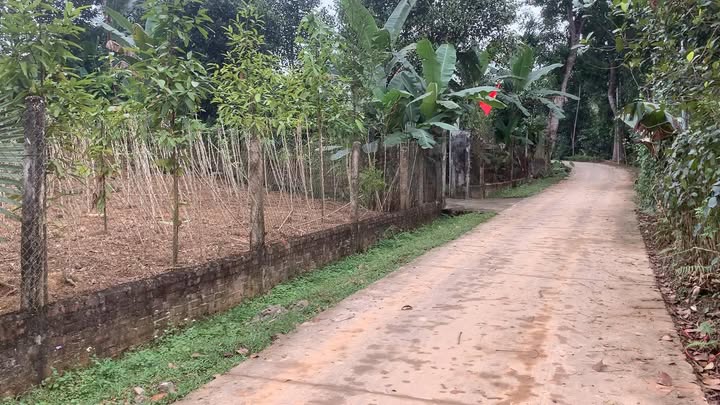 Đất nền Đồng Xuân, Thanh Ba, Phú Thọ 200m² giá chỉ 500 triệu - Cơ hội đầu tư tuyệt vời!