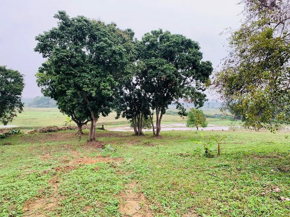 Đất nghỉ dưỡng Cư Yên Lương Sơn 2272m² - View đỉnh cao, giá thỏa thuận!