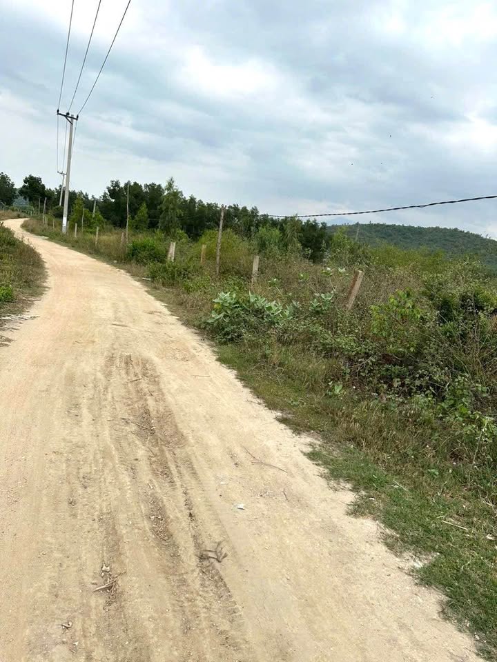 Đất rừng sản xuất Vạn Hưng 7728m² giá 2 tỷ - Cơ hội đầu tư hấp dẫn!