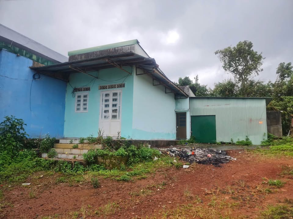 Nhà cấp 4 Bảo Lâm 296m² giá 1.8 tỷ - Chính chủ bán gấp gần nhà thờ Tân Rai!