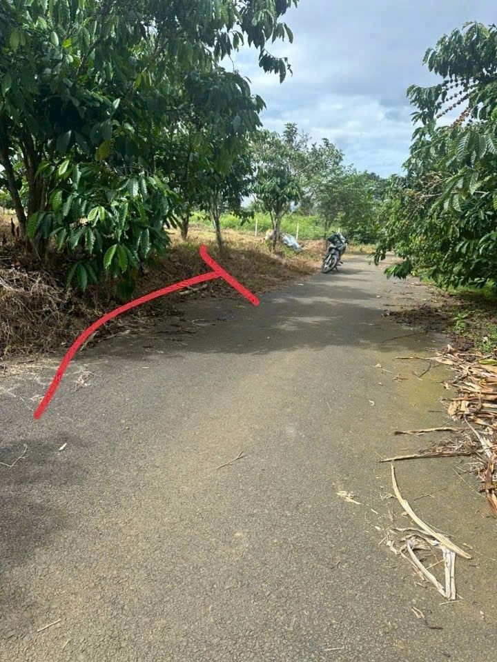 Đất vườn Tân Lạc, Bảo Lâm 2900m² giá 2.2 tỷ - Cơ hội đầu tư tuyệt vời!