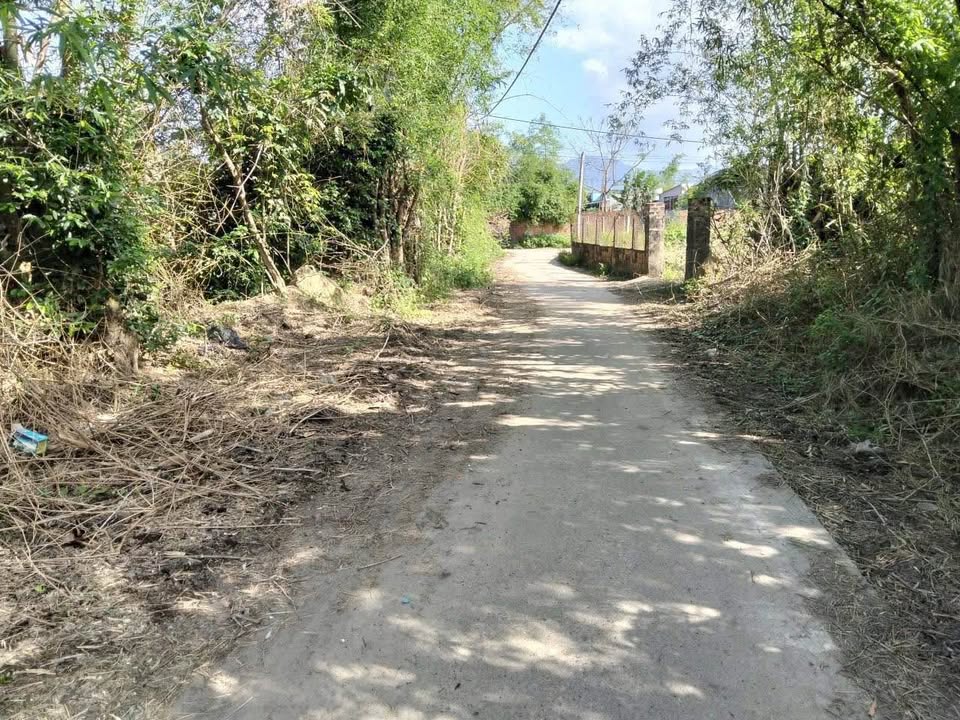 Đất nền Cát Tân, Phù Cát 158m² giá thỏa thuận - Ô tô vào tận nơi!