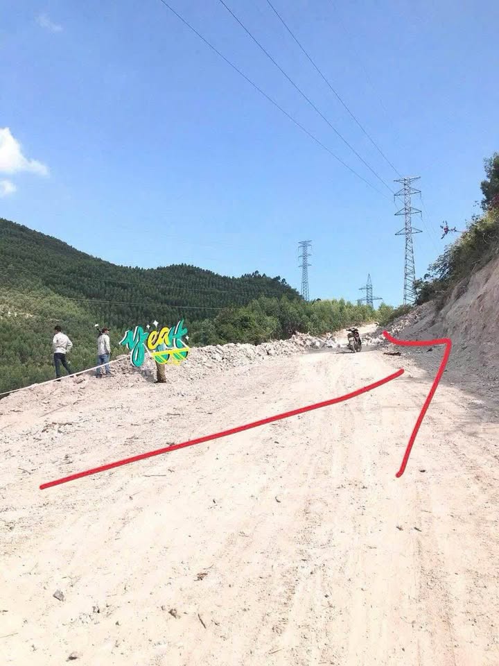 Bán gấp 5,5 héc rừng tại Thôn An Sơn, Tuy Phước, Bình Định 5.5 tỷ - Mặt tiền đường xe tải