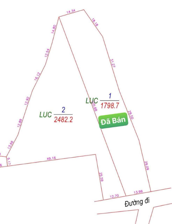Đất Farm 2500m² tại Khánh Đông - Giá chỉ 250 triệu, có sẵn cây trái!