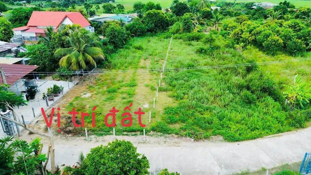 Đất nền Suối Tiên 781m² giá 3.126 tỷ - Cơ hội đầu tư tuyệt vời!