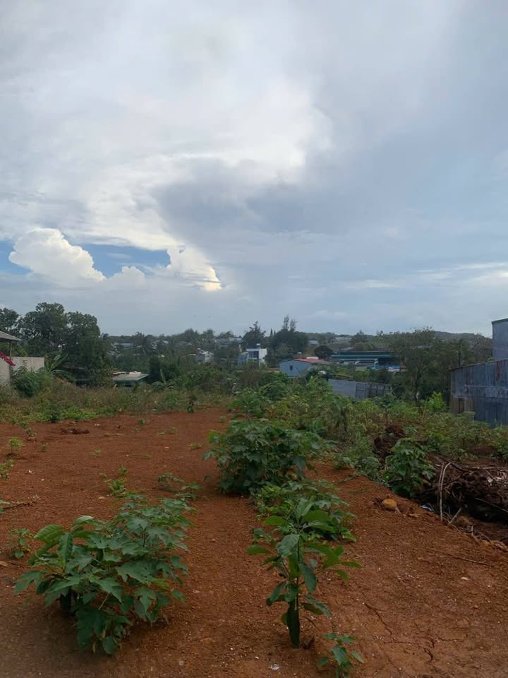 Đất nền phường Thành Nhất, Buôn Ma Thuột 410m² giá 3.3 tỷ - Đầu tư sinh lời ngay!