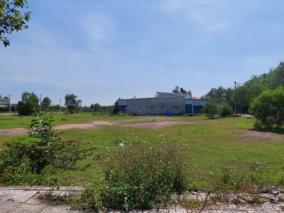 Đất thổ cư 392m² tại khu Tái Định Cư Thường Tân - Giá 2.8 tỷ, sổ đỏ chính chủ!