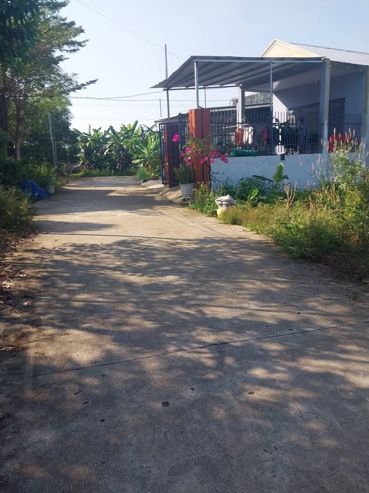 Đất nền 1368m² tại Tân An - Vĩnh Cửu, giá chỉ 1.35 tỷ - Đầu tư sinh lời ngay!